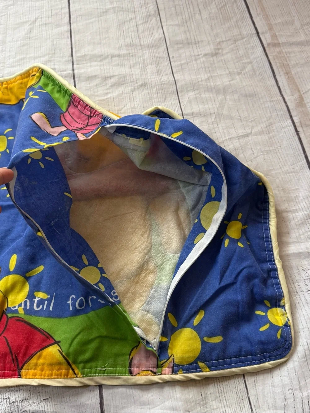 Vintage Disney Winnie the Pooh + Piglet zipper pillow case